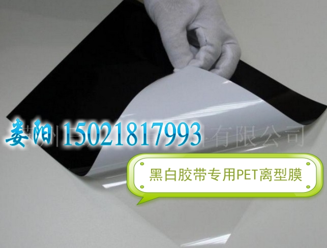 100um哑面PET离型膜